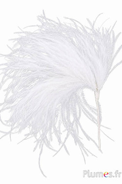 Pennacchio struzzo - larghezza 10-12 cm, altezza 25 cm - bianco